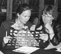 Anna-Grethe Rischel (right), National Museum of Denmark, and Susan Whitfield, IDP, studying some of the fragments conserved in Melinex in St. Petersburg.